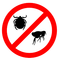 no flea n ticks